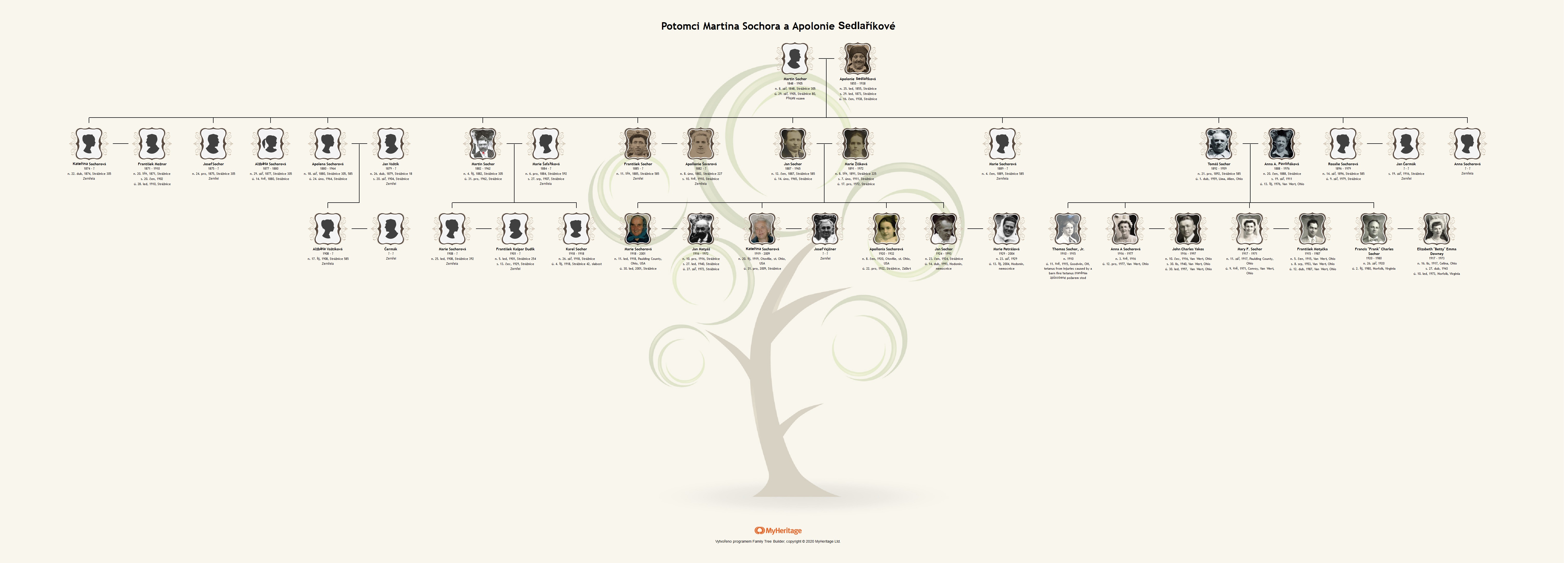 Potomci Martina Sochora a Apolonie Sedlaříkové