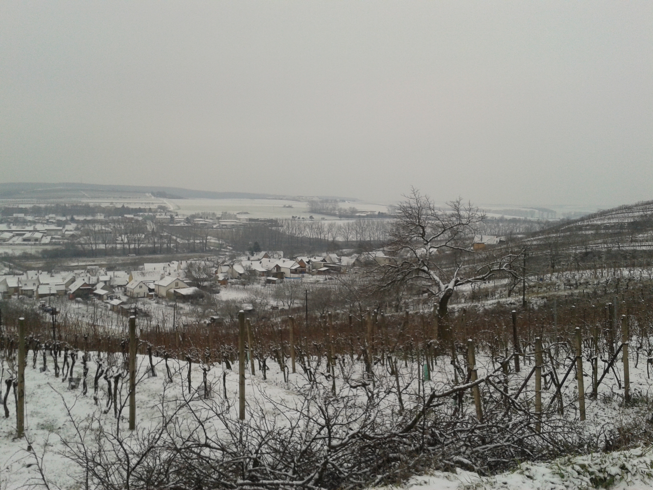 20160101_135754